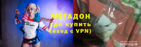 шишки Алексин
