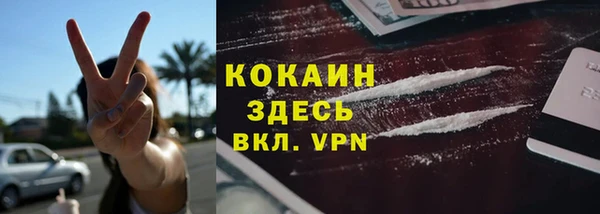 шишки Алексин