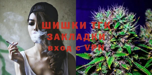 шишки Алексин