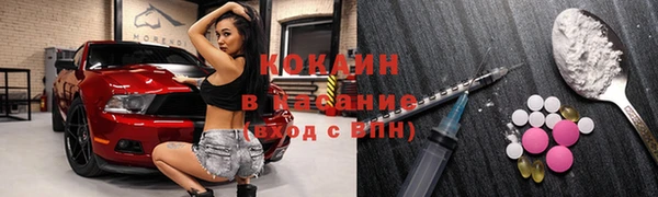 шишки Алексин