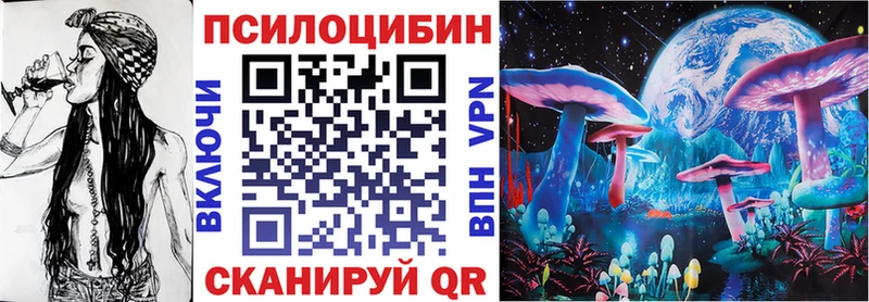 Галлюциногенные грибы MAGIC MUSHROOMS  где купить наркоту  Нелидово 